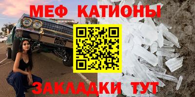индика Дубна