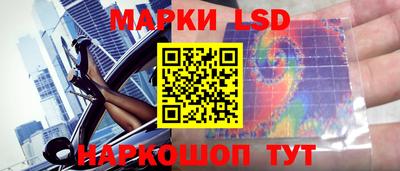 индика Дубна