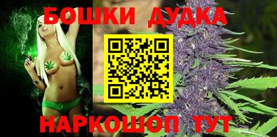 шишки Донской