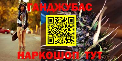 индика Дубна