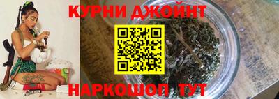 индика Дубна