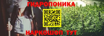 индика Дубна