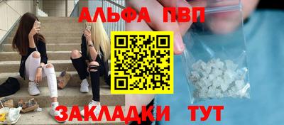 шишки Донской