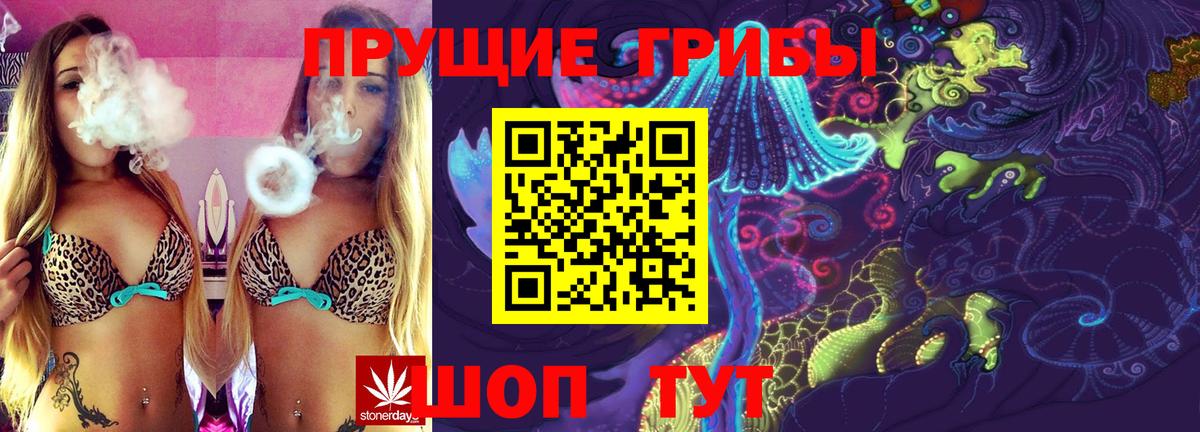 Псилоцибиновые грибы мицелий Кыштым