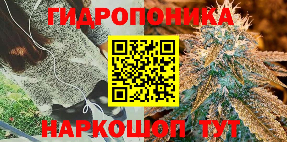 Марихуана план  Вход с VPN  Кыштым  Канабис White Widow 